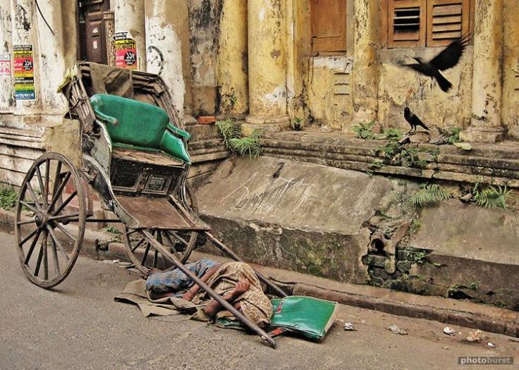 168637_0f2b3d327c0b4217b11c9baed6b98e86_large