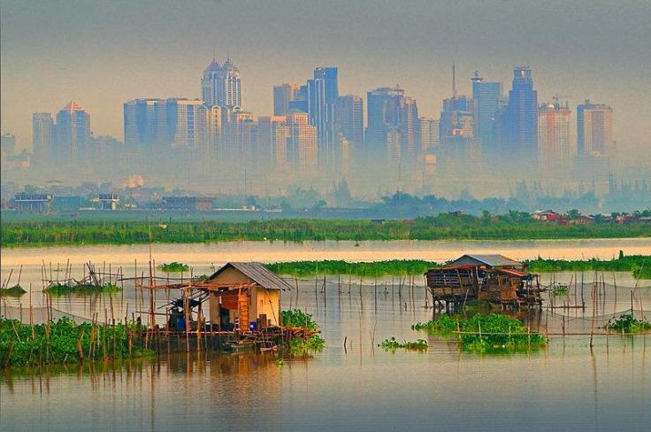 184739_3205251cf6b95bb49a4eb8b13c22c622_large