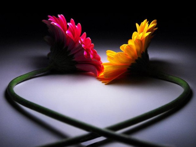 wordpress image post